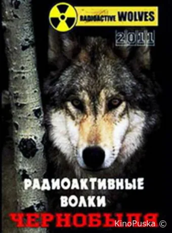 Радиоактивные волки Чернобыля /  2011 смотреть онлайн