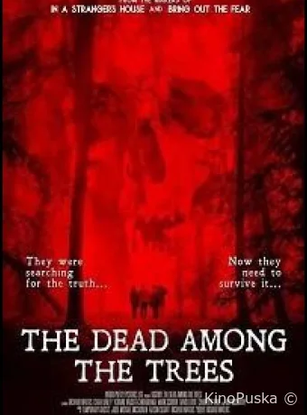 Искажение 2: Мертвецы среди деревьев / Distort 2: The Dead Among the Trees 2026 смотреть онлайн
